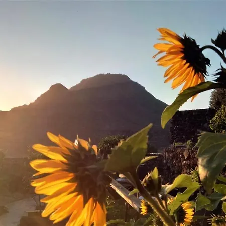 Casa Alta * 아로나